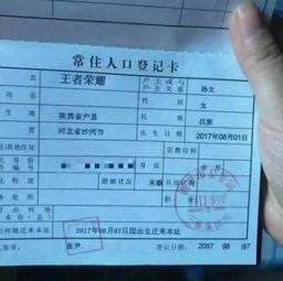  包饺子吴所谓等等...明星给孩子取名字也很任性