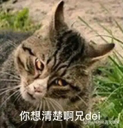  自己做的游戏会玩的很厉害吗