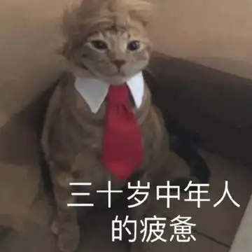  枕上诗书闲处好