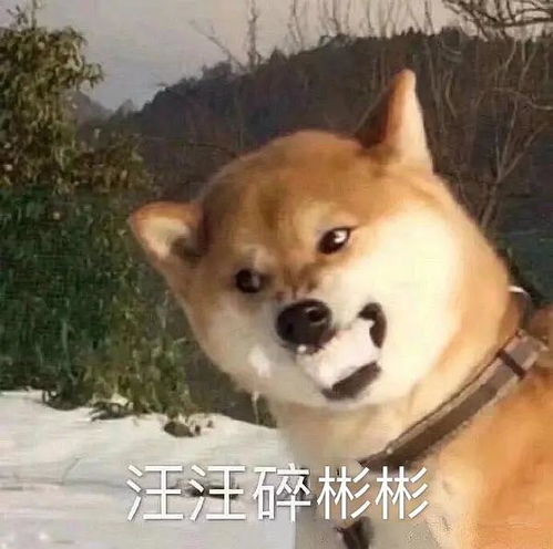  今年的金鹰女神一定是ta
