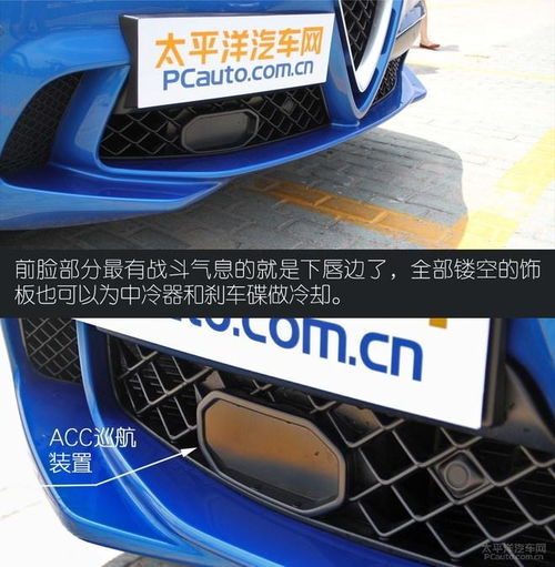  意式激情实拍阿尔法罗密欧stelvio四叶草