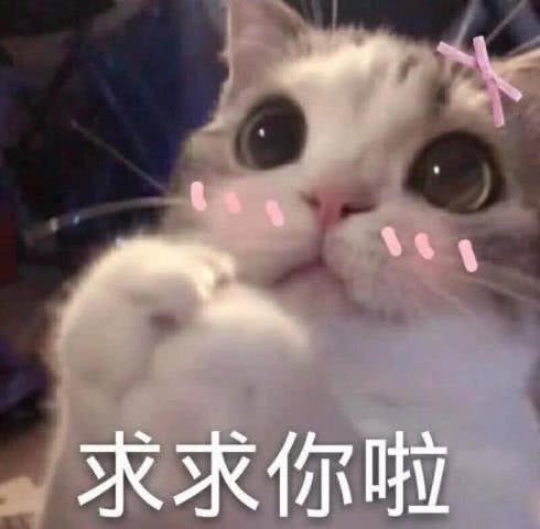  4张卡哇伊表情包火了一本正经装可爱,男生的心都融成水了