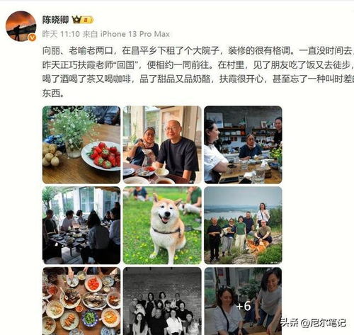 简单成熟低调的微信头像