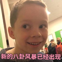  表情包丨跟老子道歉不然你就死