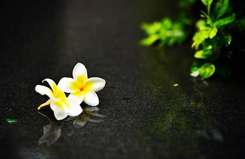  塔罗师艾希双子座上2022年上半年指南,不满意对方,应该能更好