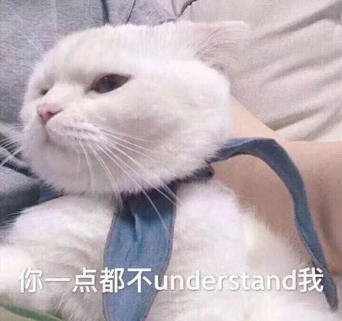  帅气首登男人装,毛不易听她唱歌直说震撼,号称带歌女王的胡66能成功出圈吗
