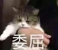  我给我妈发了一个表情包,但她当真了我该怎么解释