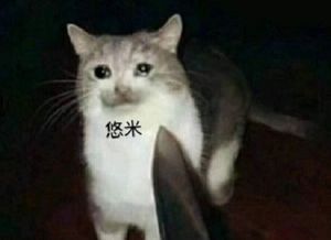  lol为何adc都不喜欢和悠米组队发现原因后感觉很真实