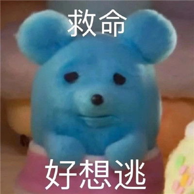  最新版超级可爱的微信常用表情包合集就让孤独陪我过夜