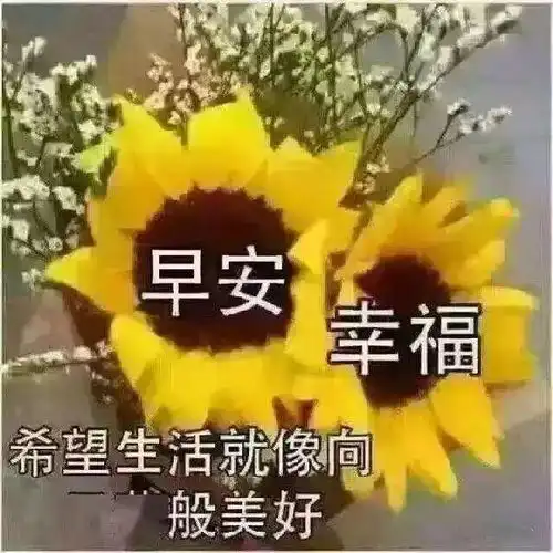  愿我们上半年所有的努力,都是下半年惊喜的铺垫,加油吧,早安