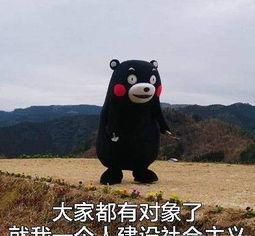  身为养狗人,谁的手机没有几张,狗狗沙雕表情包呢