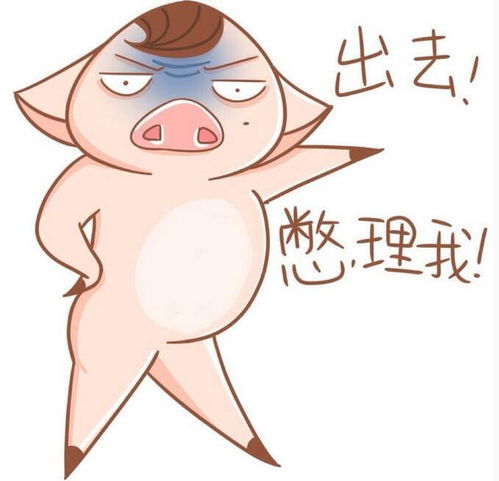  张智霖袁咏仪笑认二胎邓超把女儿装洗衣筐里