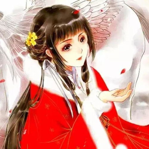  穿越农门从一无所有到发家致富,从荆棘密布走向花团锦簇