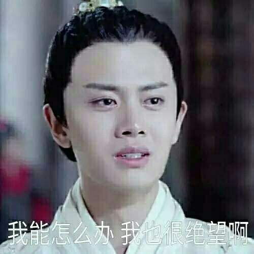  任嘉伦俶儿表情包合集