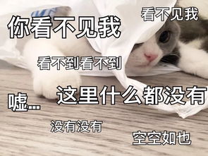  趣味拼音缩写