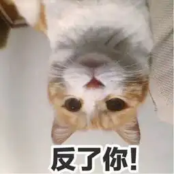  男子在高铁上脱鞋吃大蒜惹众怒,这种人究竟能不能管