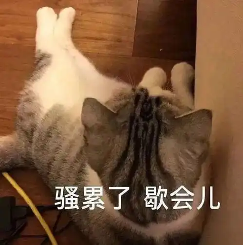  行吧我忍..