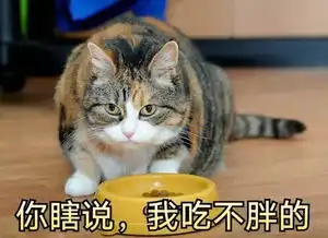  深大人必看情人节送什么礼物给ta,看完你就知道深大荔知