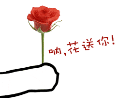  斗图必备表情包看到这朵花没丢掉也不给你