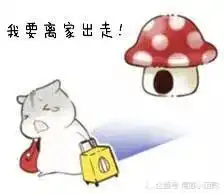  仓鼠表情包我爱老公