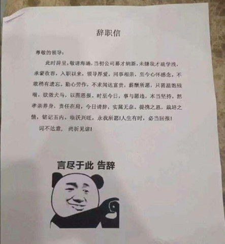  有一种奇葩叫做辞职信,一个表情包就够了,老板看懵了