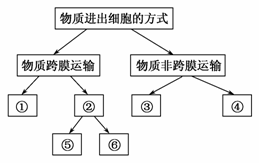  下图是物质进出细胞方式的概图下列分析正确的是a.方式表示协助扩散b.两种方式的共同特点是都需要载体c.两种方式都与细胞膜的流动性有关d.质壁分离实验中蔗糖进入细胞的方式为
