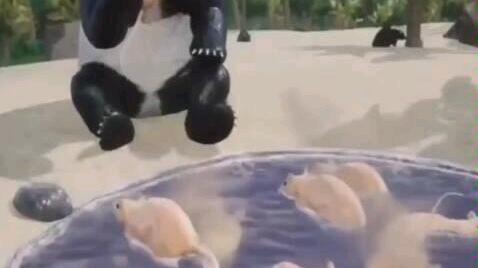  当国产游戏成为笑话的时候,终将有人要站出来