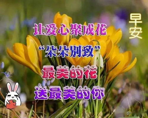  心存美好,无烦恼之事心存善良,无可恨之人,早安