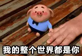  我不信夜黑风高时你没搜索过这些奇葩问题