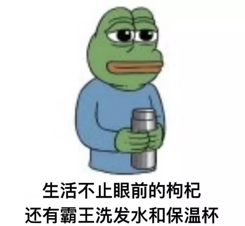  遇上你,是我的缘宿舍奇葩寝规大揭秘