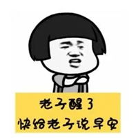  p图表情包