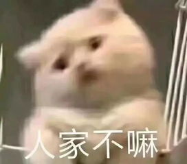  表情包求求你了,漂亮姐姐