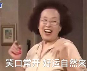  罗文姬女士表情包大全