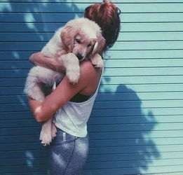  爱犬转世两岁女儿突然说的一句话,让妈妈瞬间愣住了