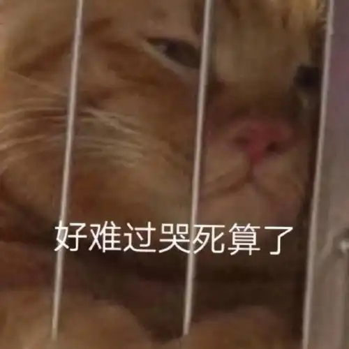  搞笑表情包小师妹的个人展示页