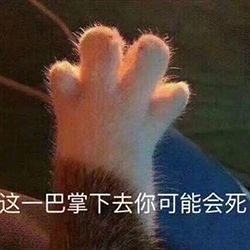  萌萌哒猫爪表情包