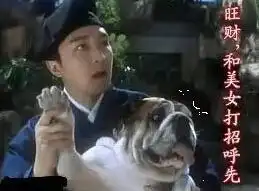  不是所有狗都能叫旺财