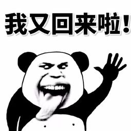  老司机专用表情,要开车了哦