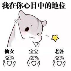  开心一刻哄老婆必备表情包你值得拥有