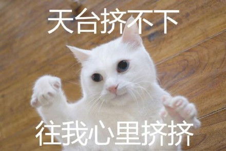  不要拦着我舔屏这些世界杯球迷小姐姐太惊艳了