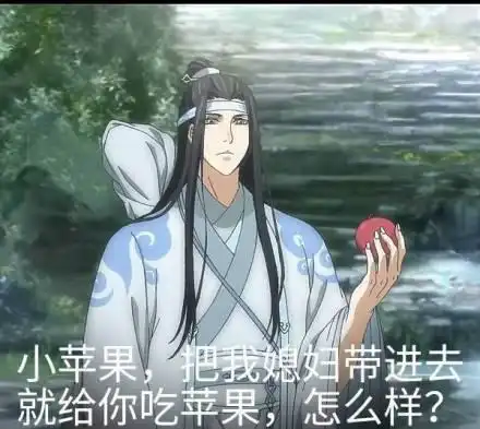  魔道祖师表情包确认过眼神,这是我媳妇