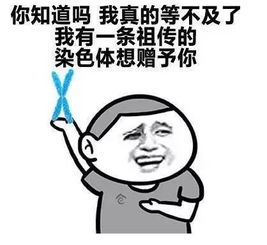  我有一条祖传的染色体想送给你