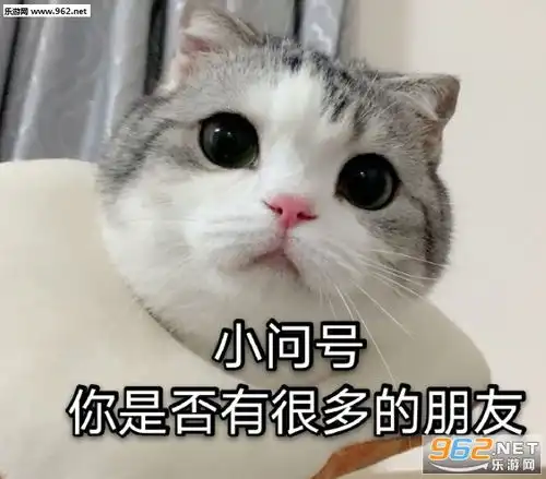  小问号你是否有很多朋友图片小问号你是否有很多朋友表情包下载乐游网游戏下载
