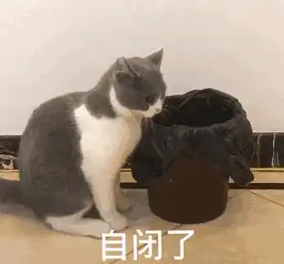  我号脏了