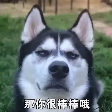 有灵性的狗是这样吃东西的哈士奇我跟它们不一样