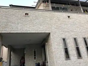  偶尔吸狗给智商充值