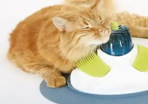  catitsensesmassagepamperingcentercatsebay