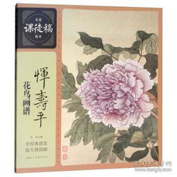  孔网分类
