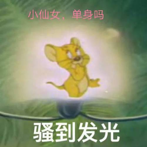 快拿开表情包猫和老鼠