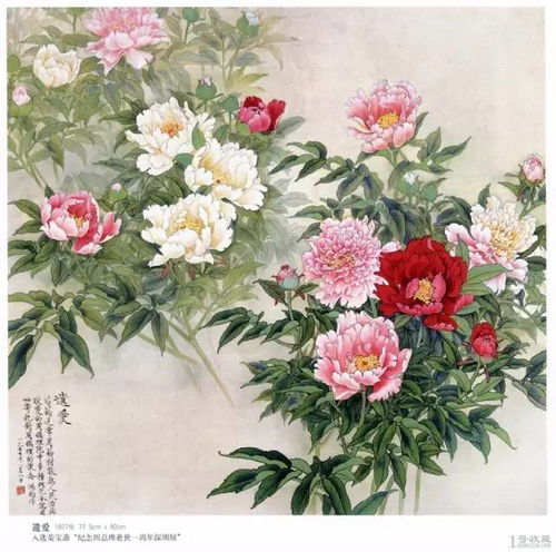  国画牡丹180幅,美醉了,大饱眼福